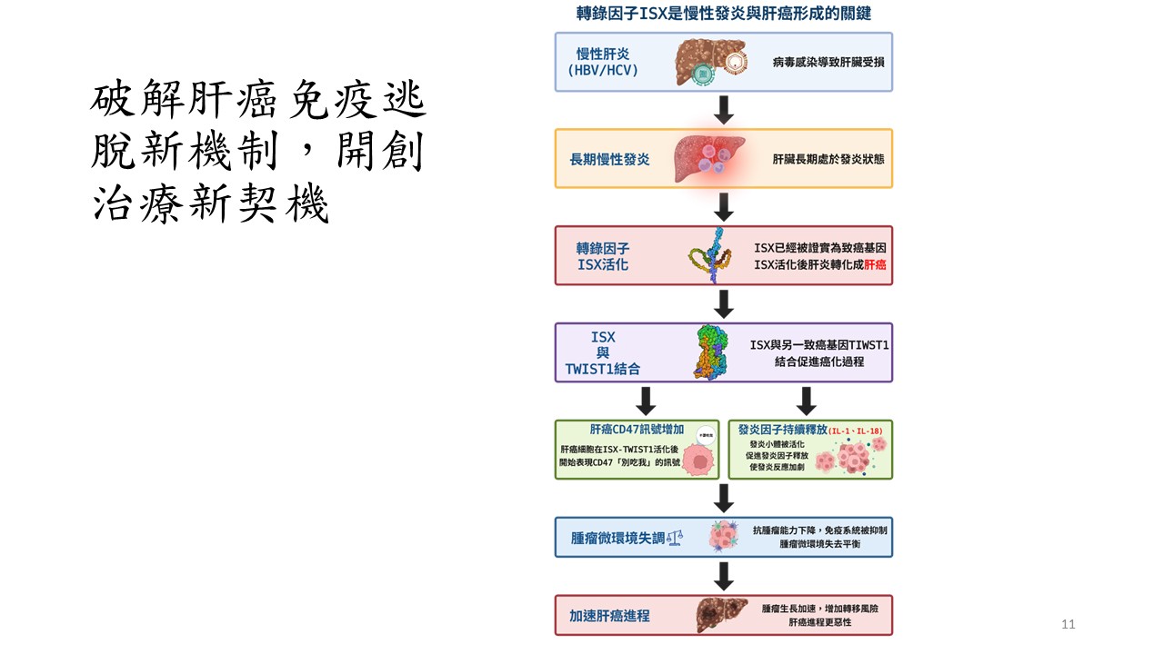 圖