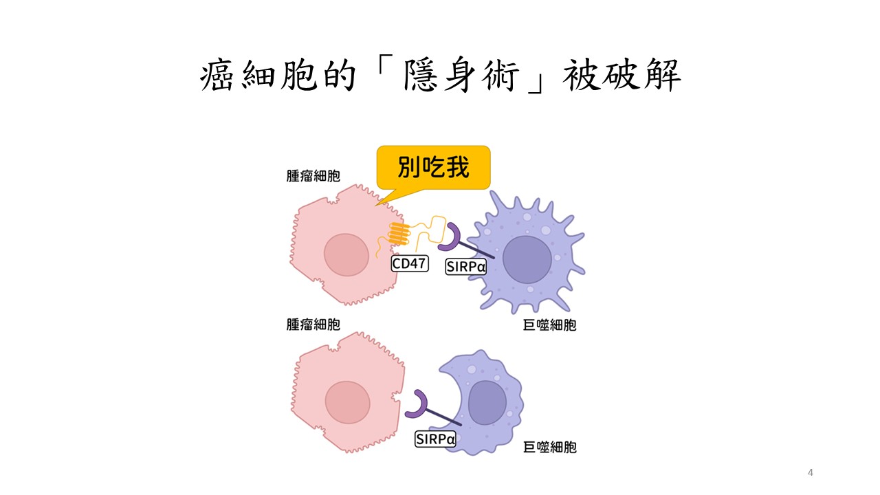 圖