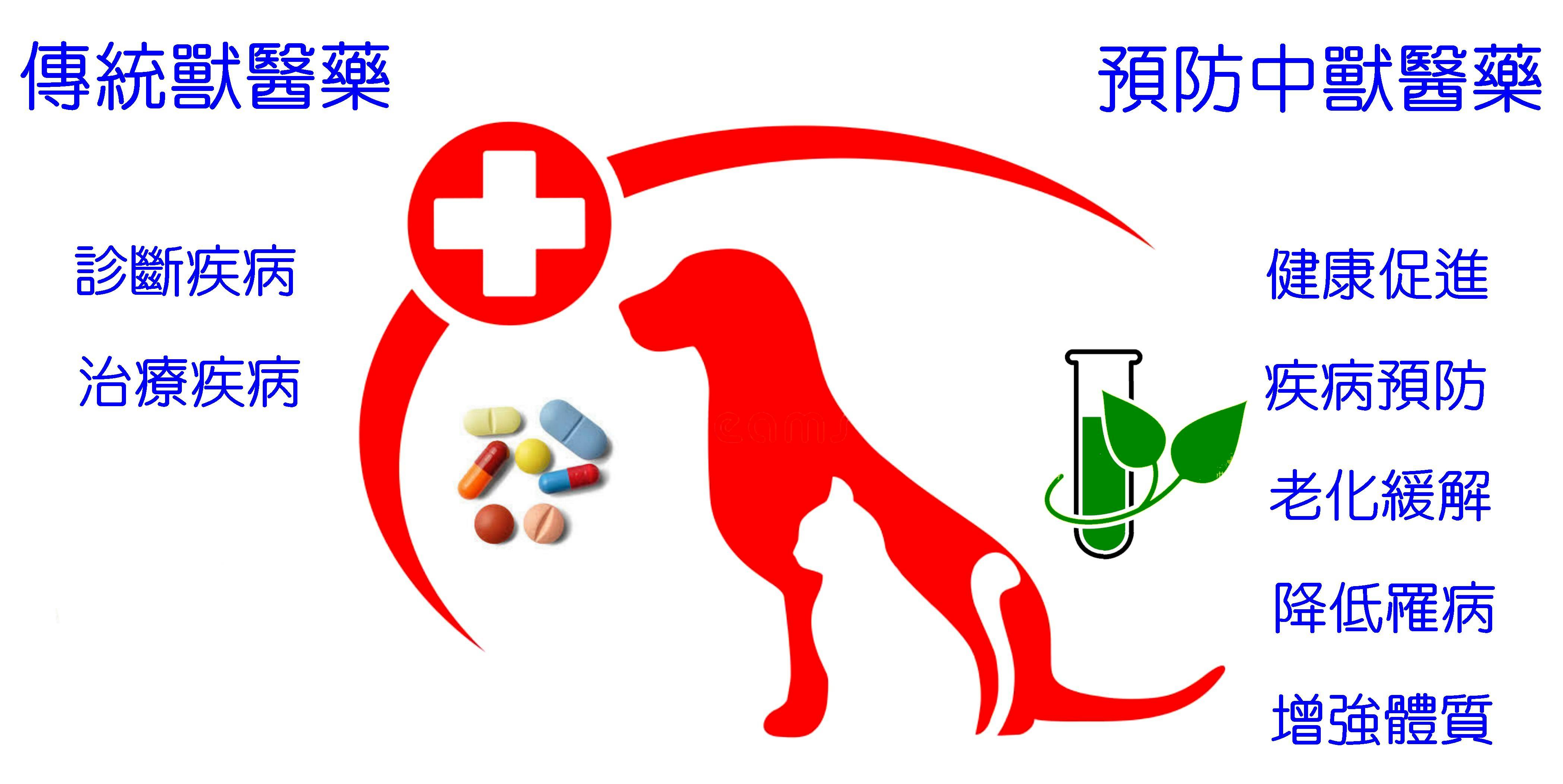 圖