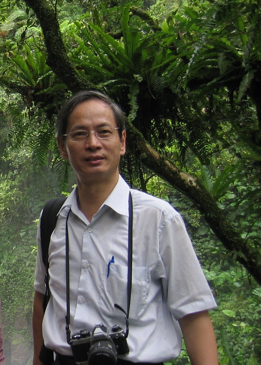 圖